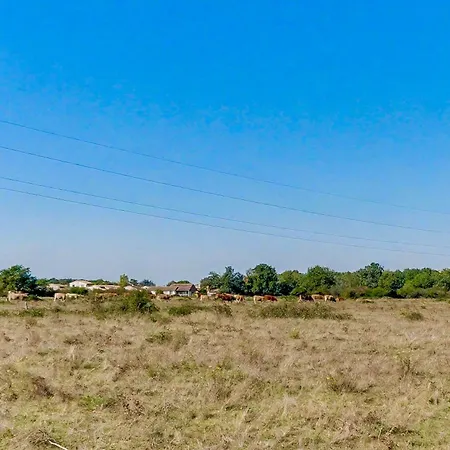 Safari, Golf & - Toulouse Plaisance-du-Touch